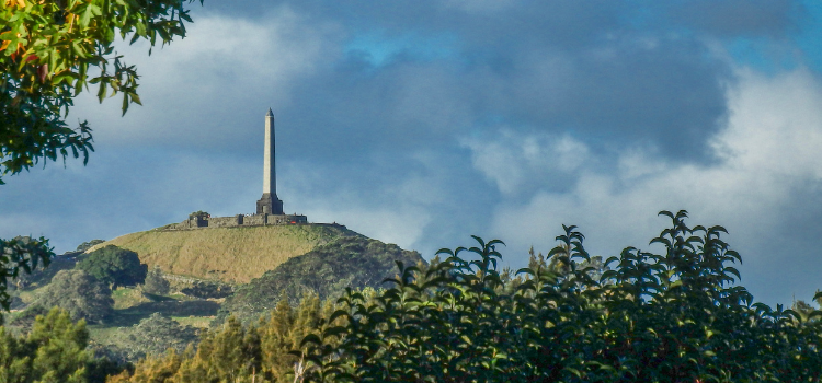 
                      Auckland Add On
                      