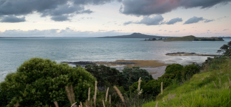 
                      Auckland Add On
                      