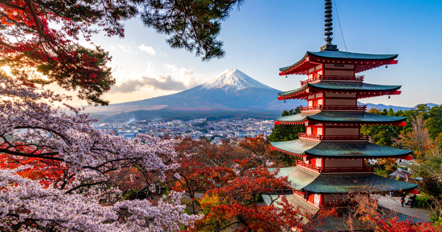 Live webinar – Japan Beyond the Classroom