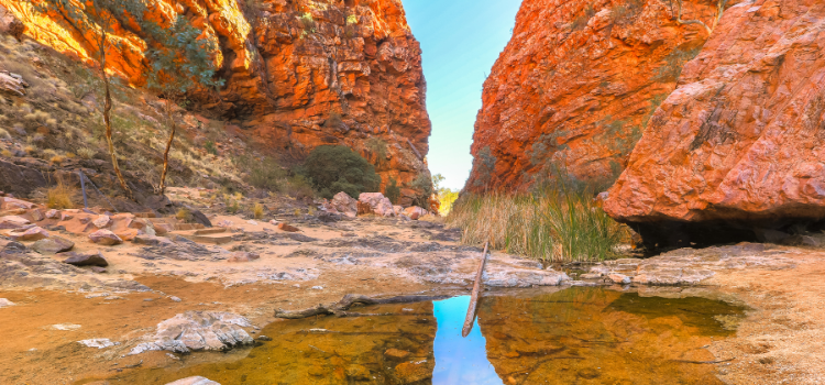
                      Natural Wonders of the Outback
                      