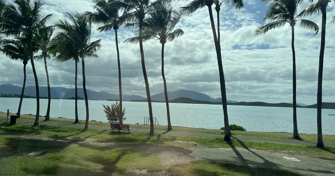 It’s time to get back to educational tours in New Caledonia!