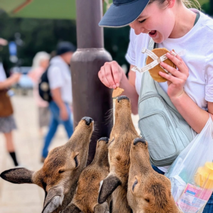 News & Updates Website Images (5)