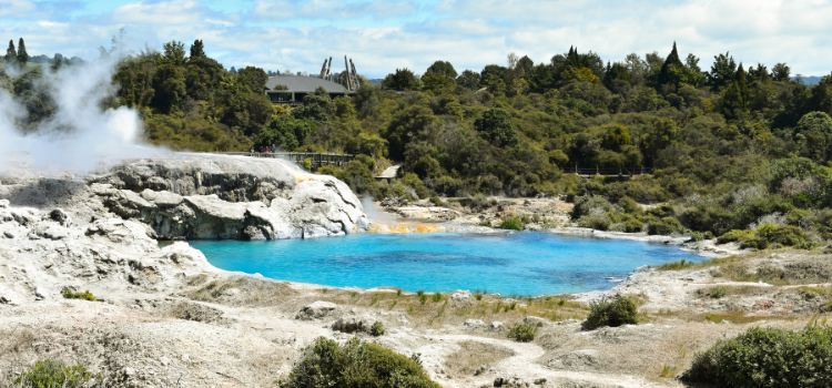 
                      Rotorua Add On
                      