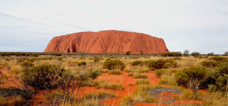 
                      Splendours of the Outback and Top End
                      
