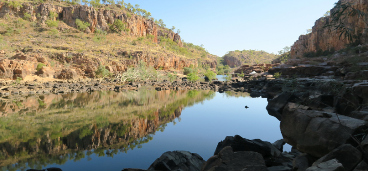 
                      Top End Adventurer with Community Service Project
                      