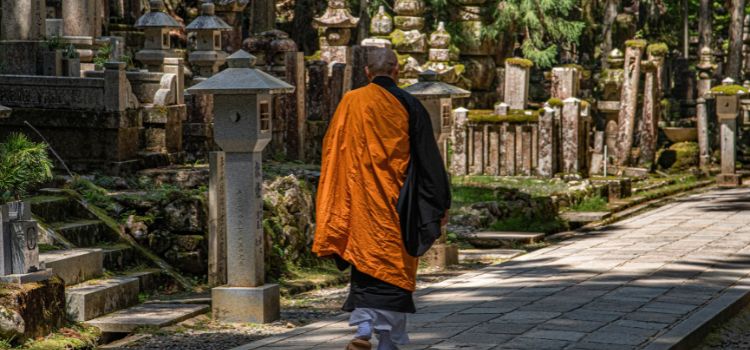 
                      Japan add on:  Wakayama - Temple Stay and Farm Stay Experience
                      