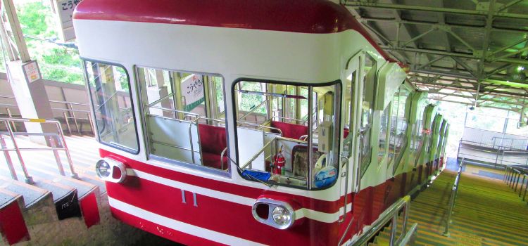 
                      Japan add on:  Wakayama - Temple Stay and Farm Stay Experience
                      