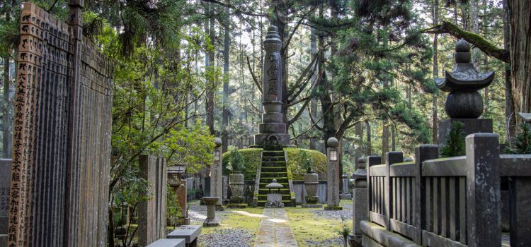 
                      Japan add on: Wakayama - Temple Stay, Kumano Kodo and Homestay Experience
                      