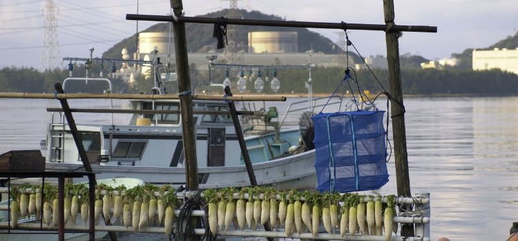 
                      Japan add on: Wakayama - Temple Stay, Kumano Kodo and Homestay Experience
                      