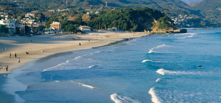 
                      Japan add on:  World Heritage, Kumano Kodo Restoration Program and Shirahama Homestay Experience
                      